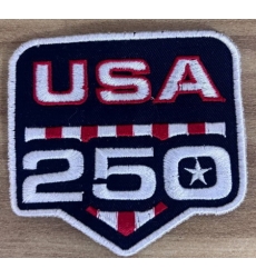 Men Carolina Panthers USA 250 Anniversary Patch Biaog