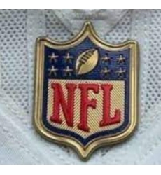 Youth Cincinnati Bengals Gold NFL Logo Patch Biaog